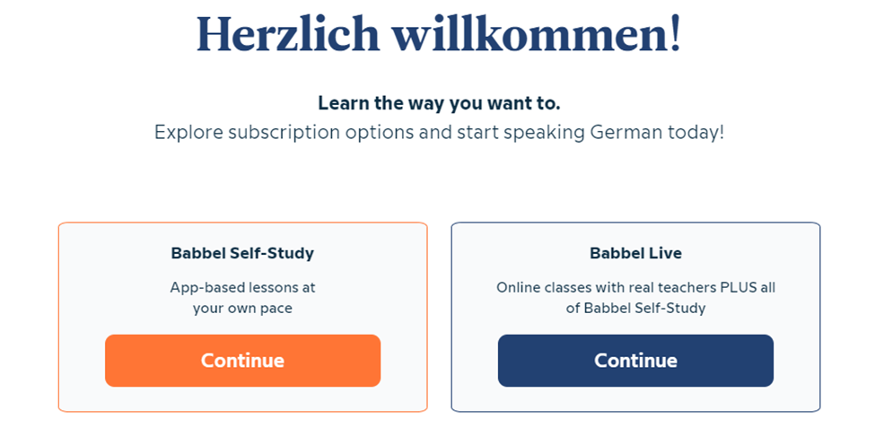 Babbel- user experience