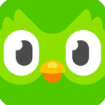 Duolingo logo